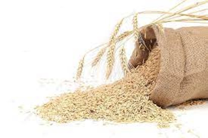 Avatar: El blat al sac